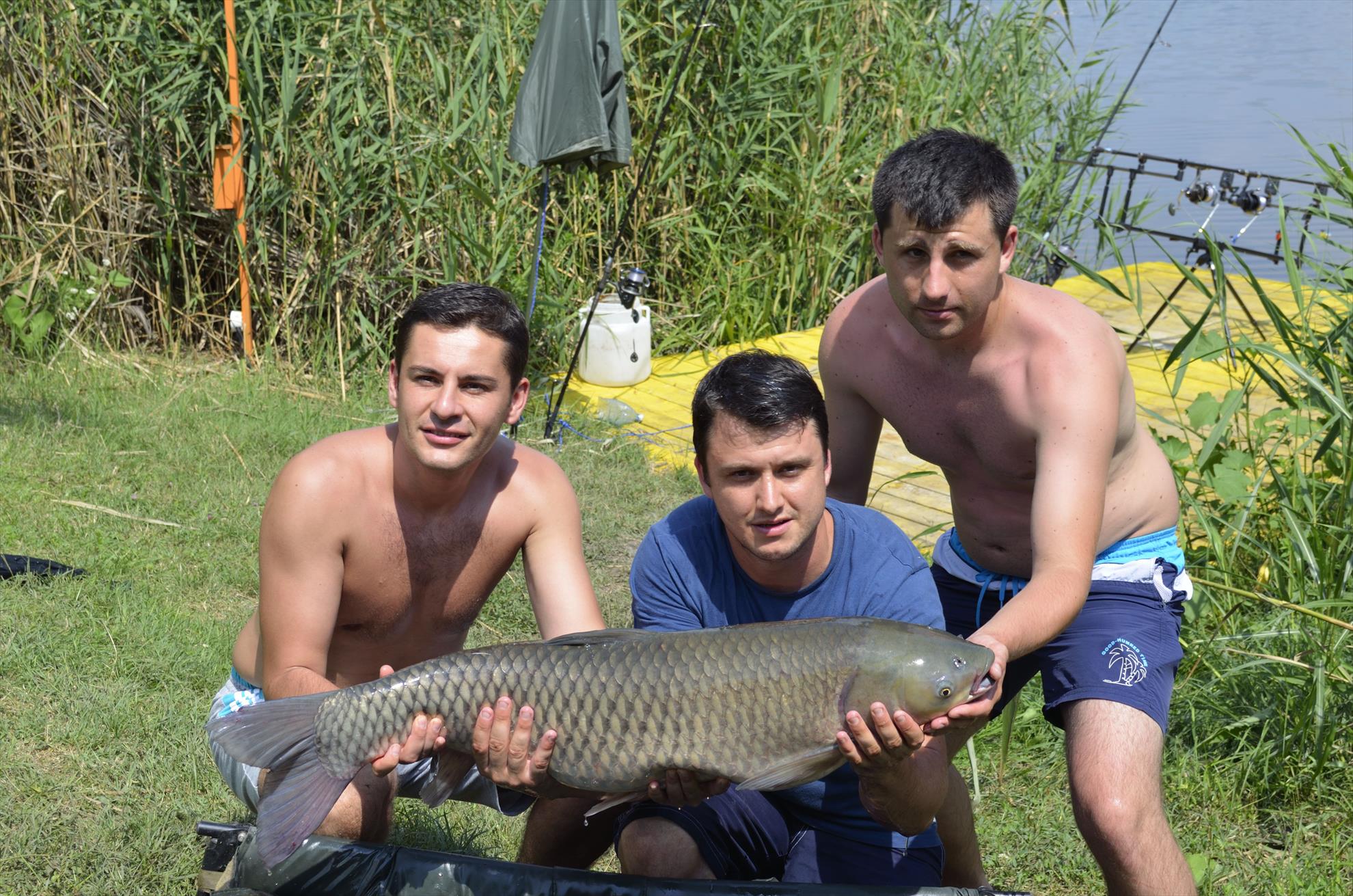 2014 - dsc069011.JPG